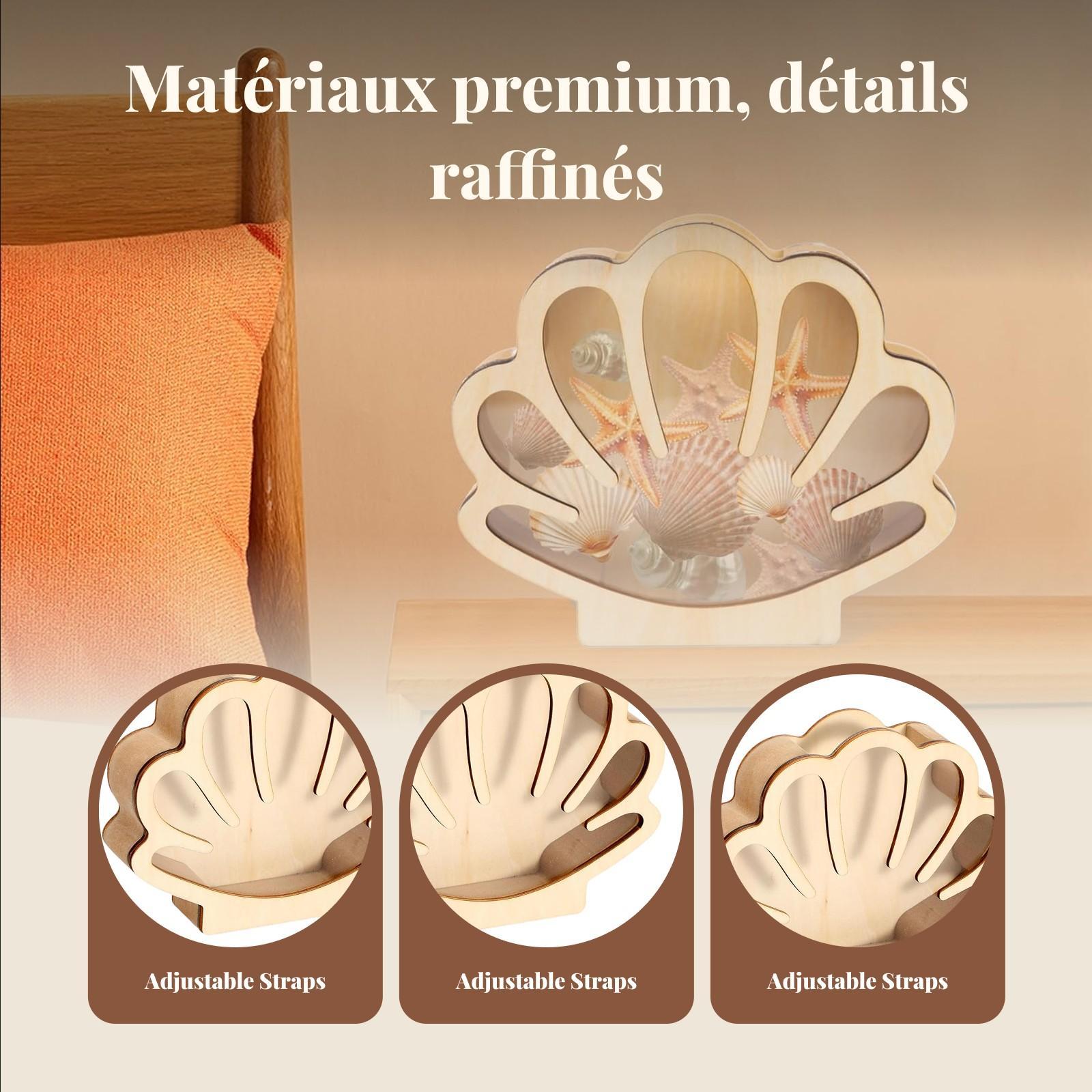 Caixa de exibição de concha de - Collectors Coins Jewelry & Watches Of Smithtown Reviews avaliação e preço